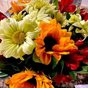 $12 Bulk listing